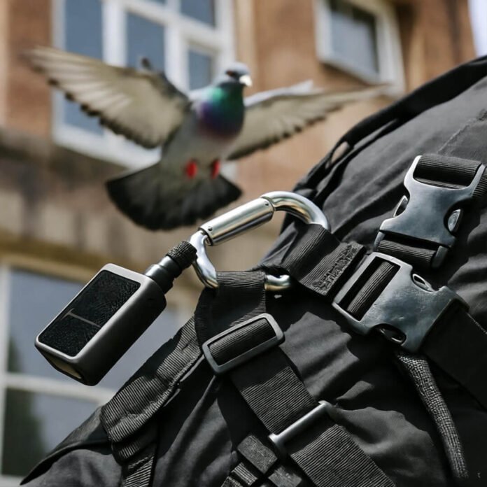 Harness POV, pizza swinging, pigeon blur.