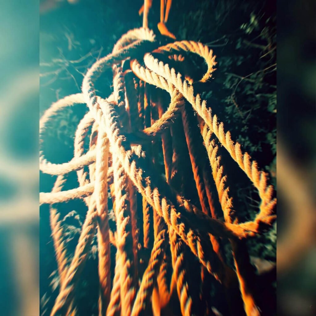 Tangled rope glowing under headlamp.